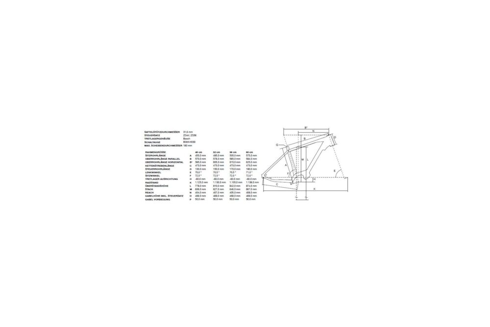 Bergamont E-Horizon Elite Gent – 625 Wh- 28 Zoll – Diamant – Bild 2